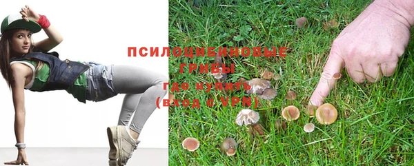 герыч Снежногорск