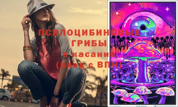 герыч Снежногорск