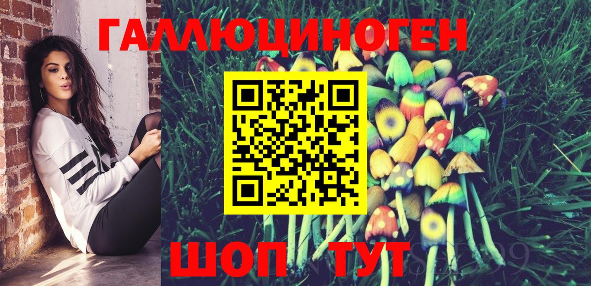 Псилоцибиновые грибы мицелий Ипатово