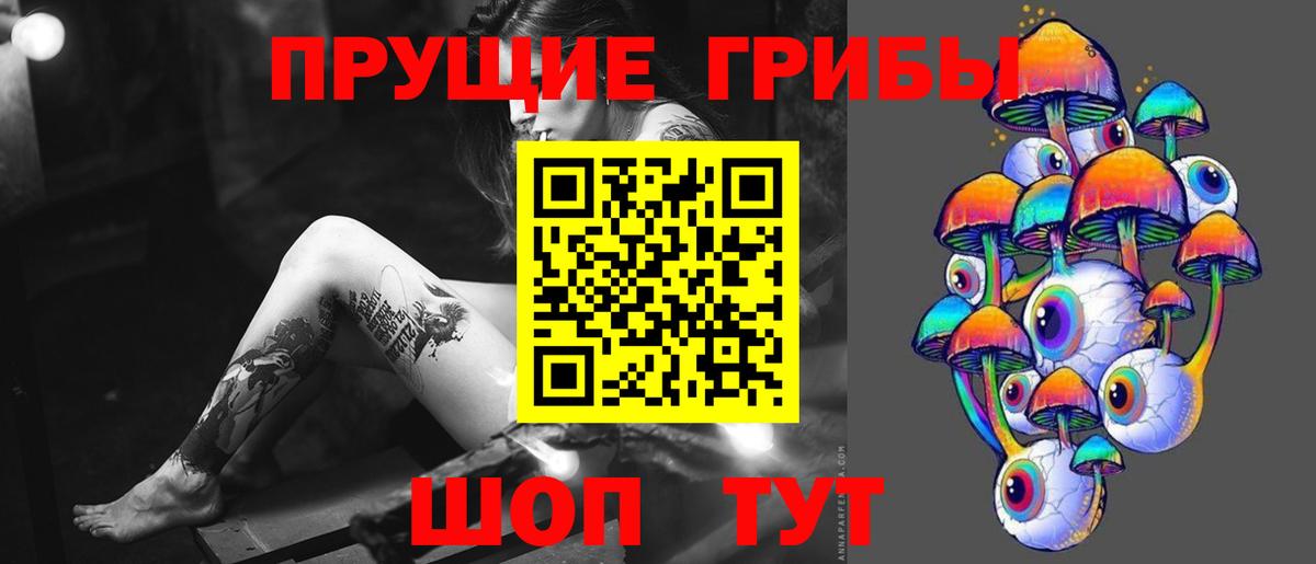 Псилоцибиновые грибы GOLDEN TEACHER  Псилоцибиновые грибы ЛСД  Вход с VPN  Ипатово 